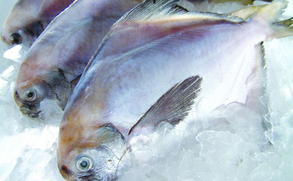 买卖易冷冻食品生活小百科